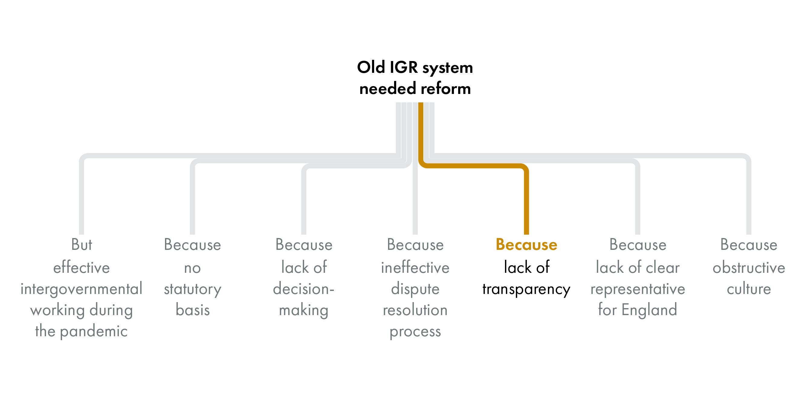 The image shows the same diagram as before but only the line to the text block that says 'lack of transparency' is in colour.